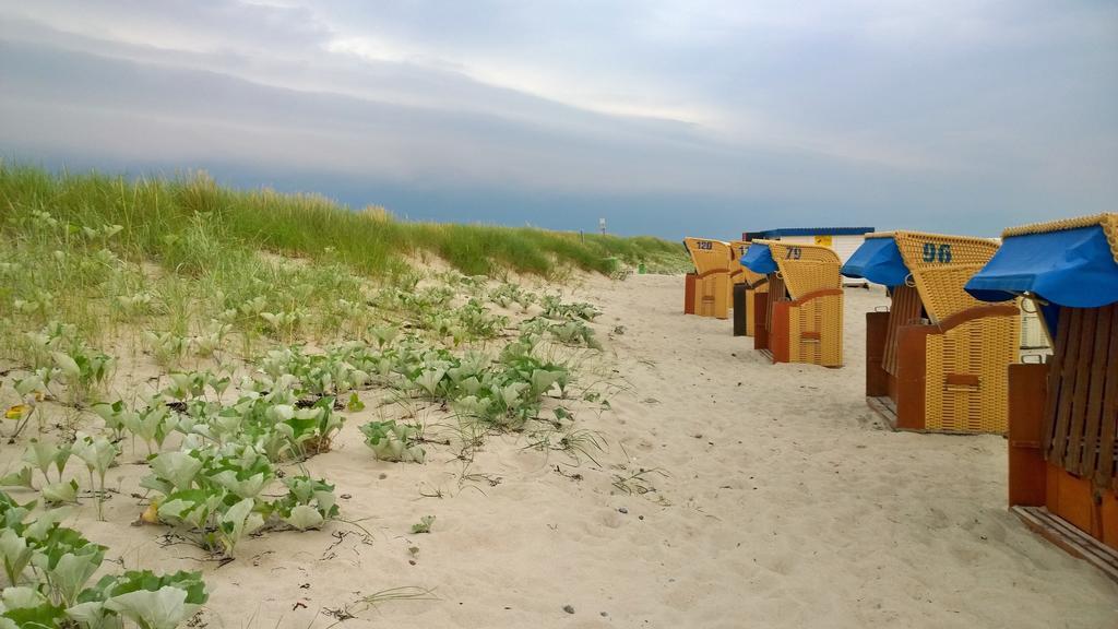 Ostsee Ferienappartement Dierhagen-Strand Exteriör bild