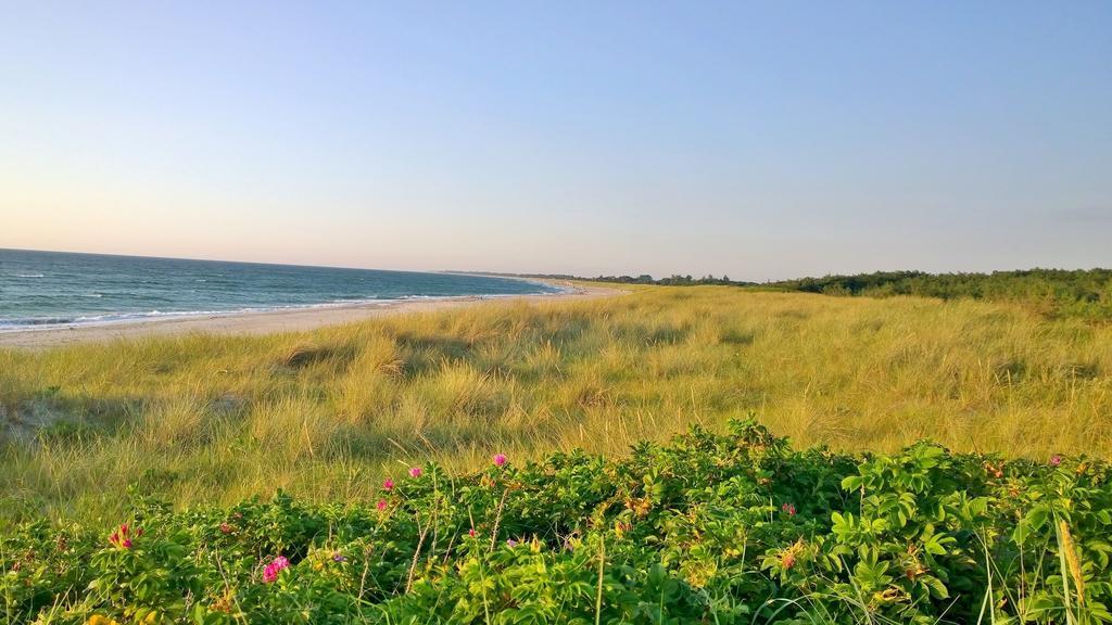 Ostsee Ferienappartement Dierhagen-Strand Exteriör bild