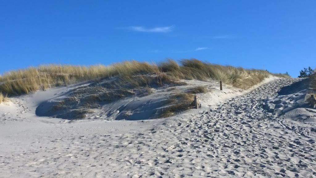 Ostsee Ferienappartement Dierhagen-Strand Exteriör bild