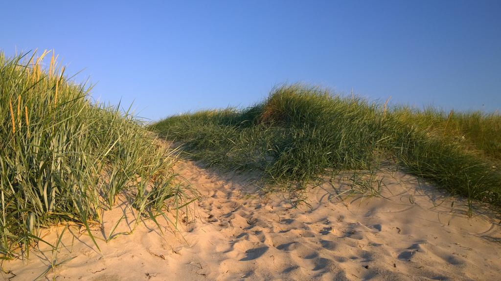 Ostsee Ferienappartement Dierhagen-Strand Exteriör bild