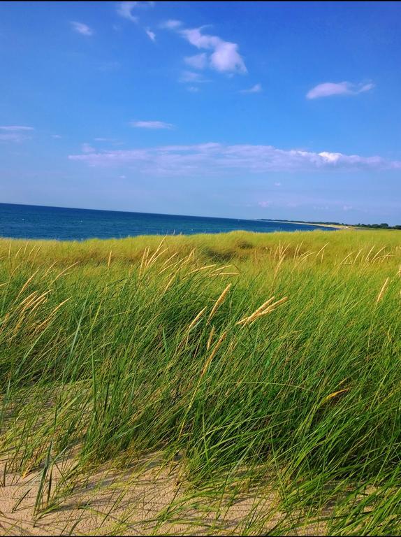 Ostsee Ferienappartement Dierhagen-Strand Exteriör bild